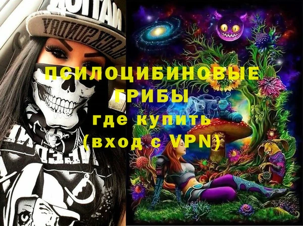 ешки Аркадак