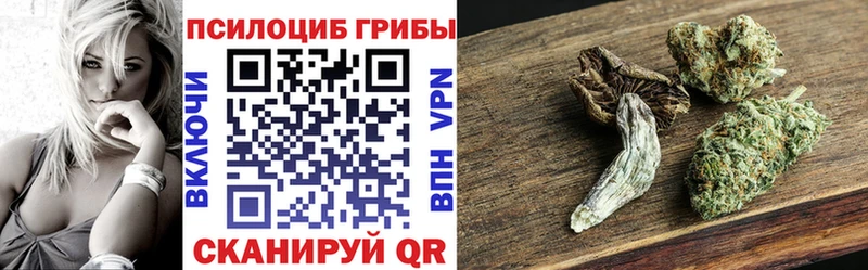 Псилоцибиновые грибы прущие грибы  как найти   Циолковский 